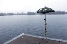 Y A N N I C K R I E M E R